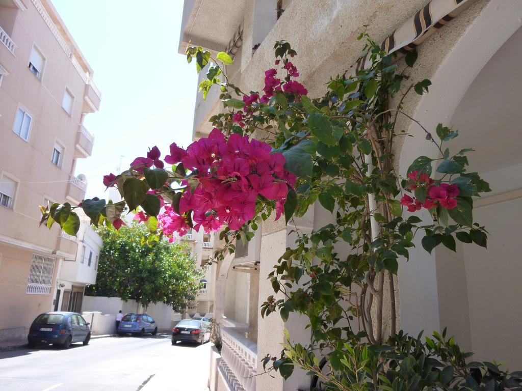 The Cozy Apartment Torrevieja Dış mekan fotoğraf